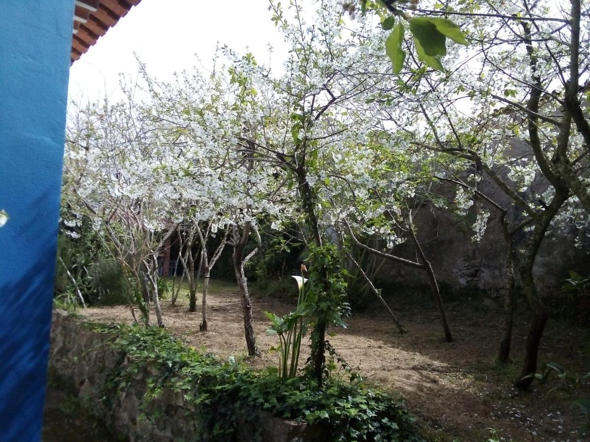 Casas Altas Obidos - Al Villa Sobral  Bagian luar foto